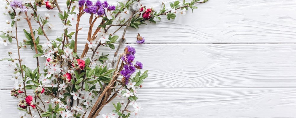 Черри блоссом май