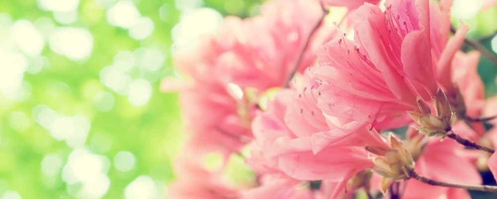 Весенний фон