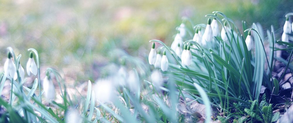 Обложки для фейсбука красивые