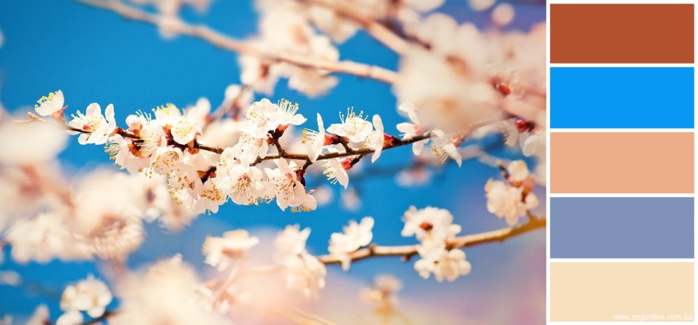 Розовая нежная веточка