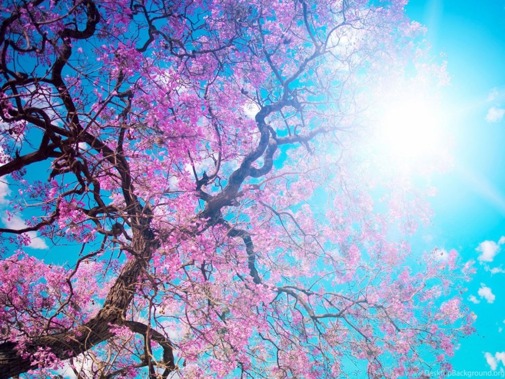 Обложка профиля лето