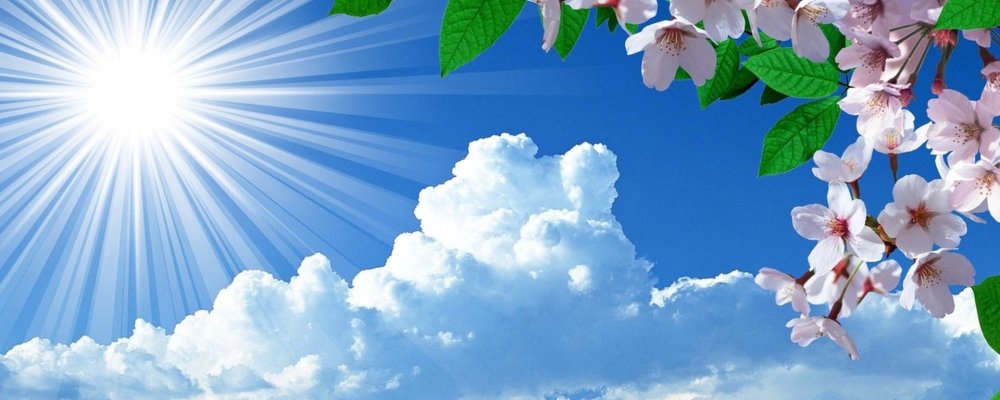 Баннеры открытка