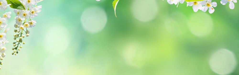 Весенняя обложка