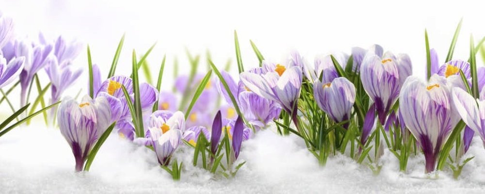 Весна панорама