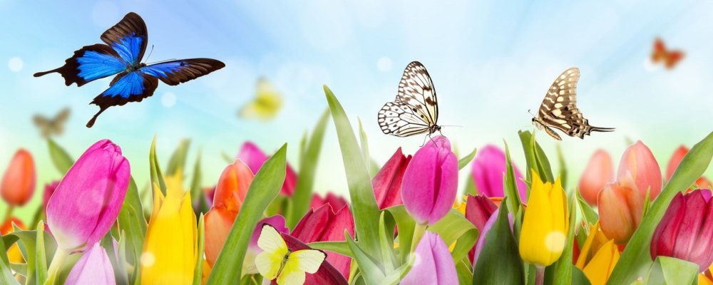 Ранняя Весна