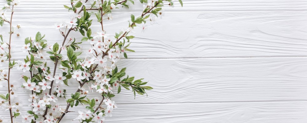 Нежный цветок