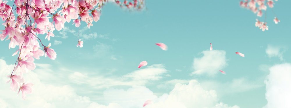 Луговые цветы