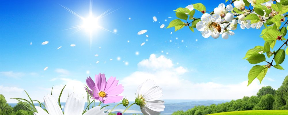 Обложка сообщества цветы