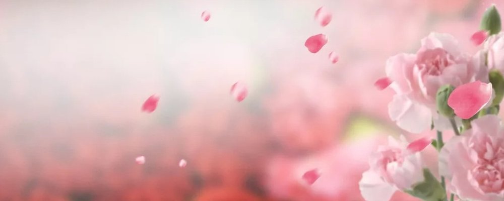 Баннер с цветами для группы