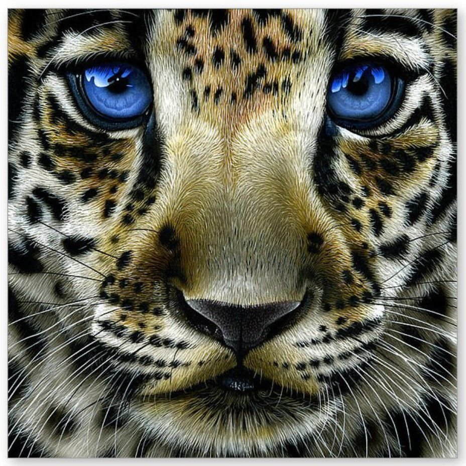 Переднеазиатский леопард портрет