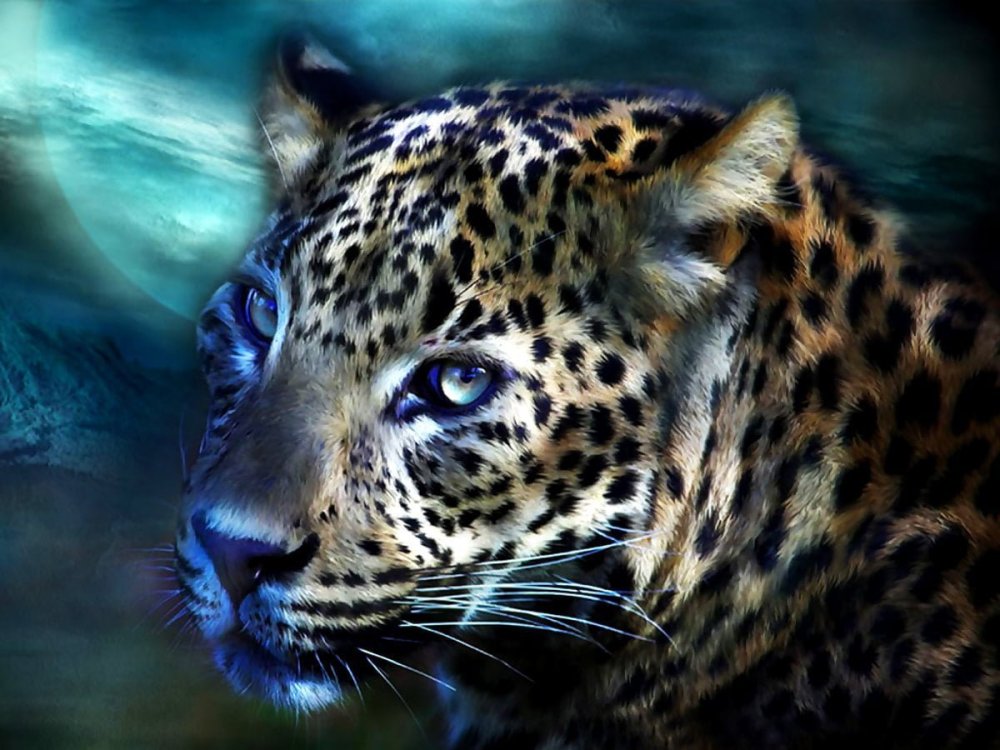 Леопард с огненными глазу