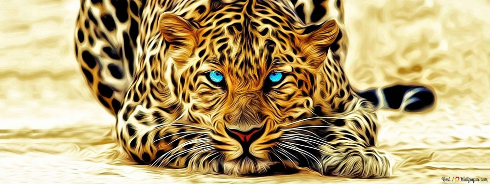 Леопард с голубыми глазами