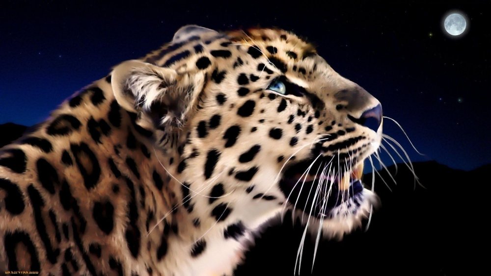 Гепард леопард Ягуар