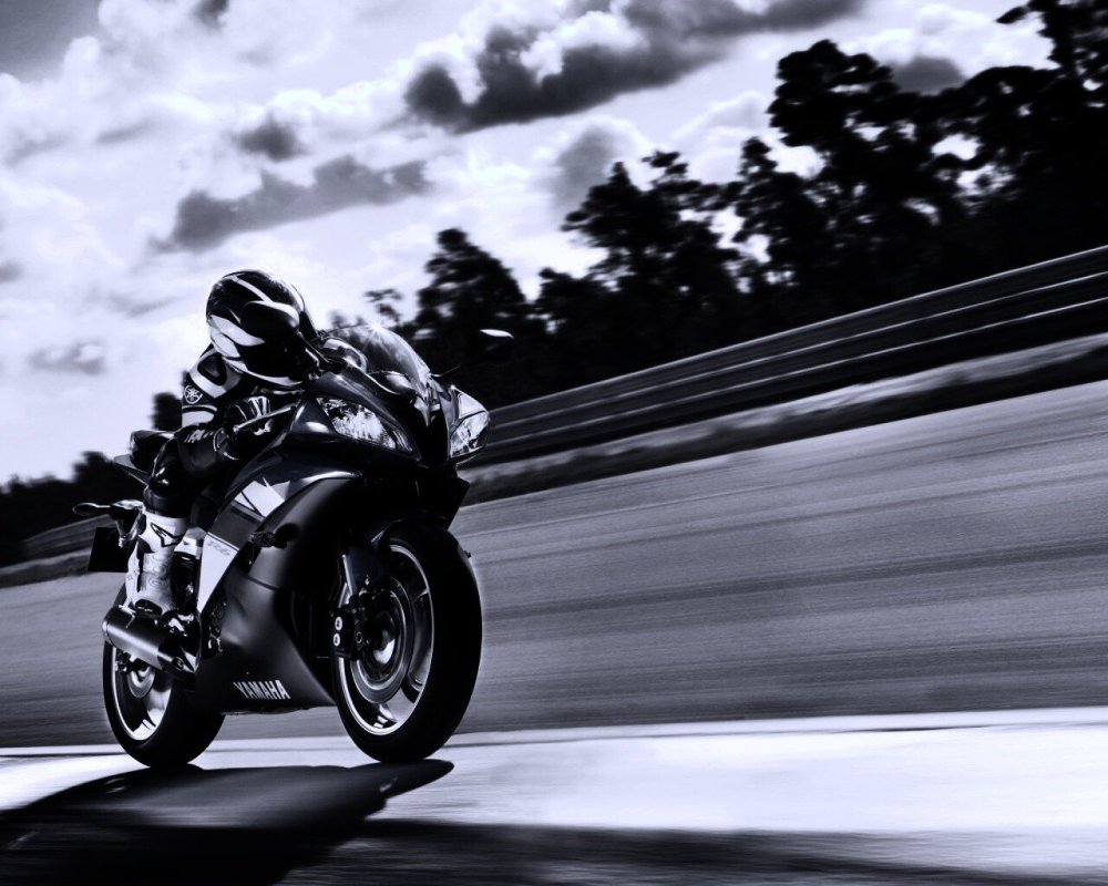 Эмблема фзм