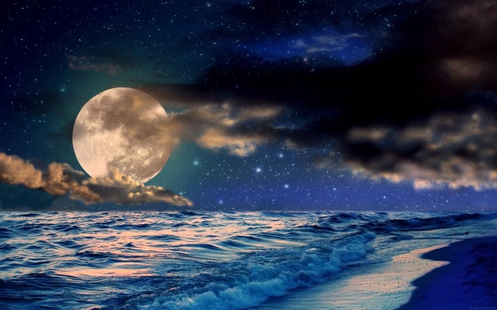 Зимний ночной пейзаж