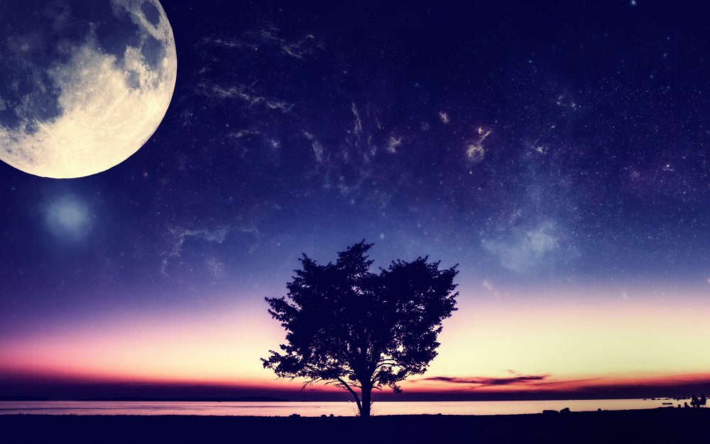 Красивая ночь