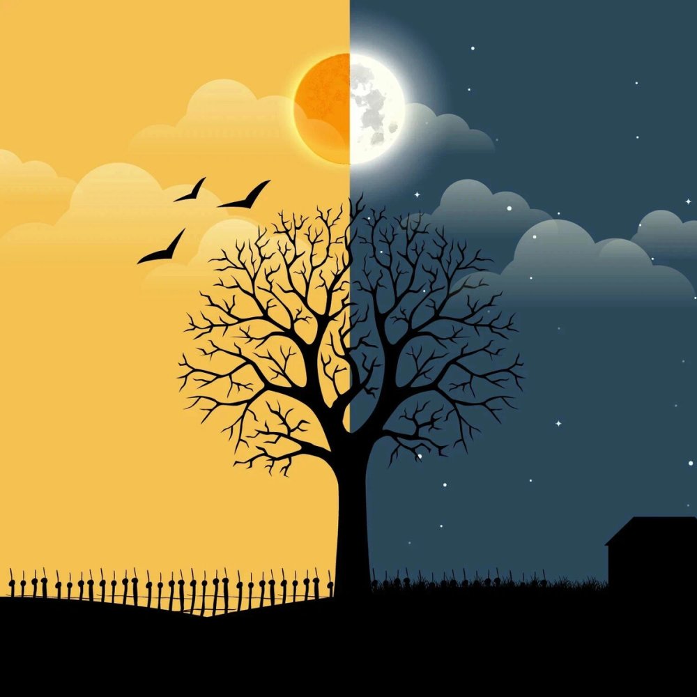 Луна и цветы