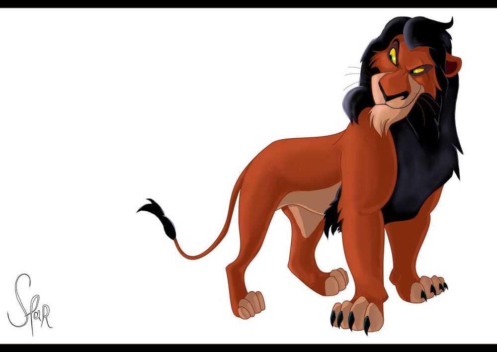 Король Лев шрам на белом фоне