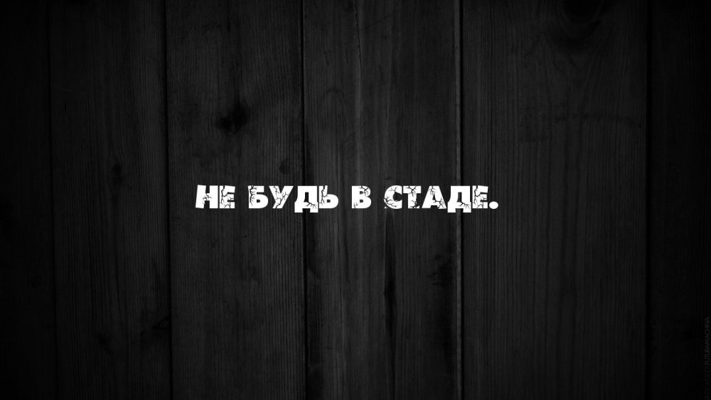 Ты все сможешь