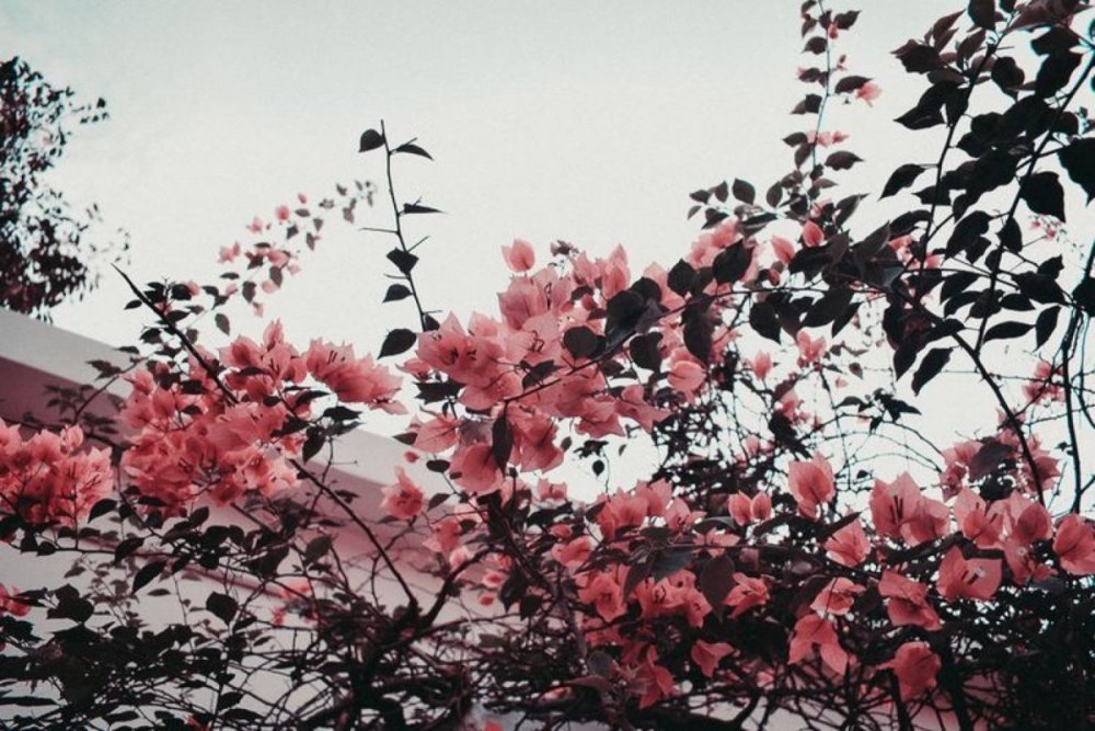 Фон для рабочего стола в стиле tumblr