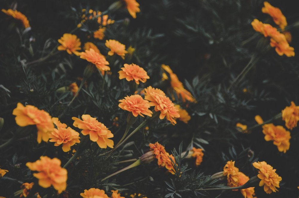 Черный коллаж