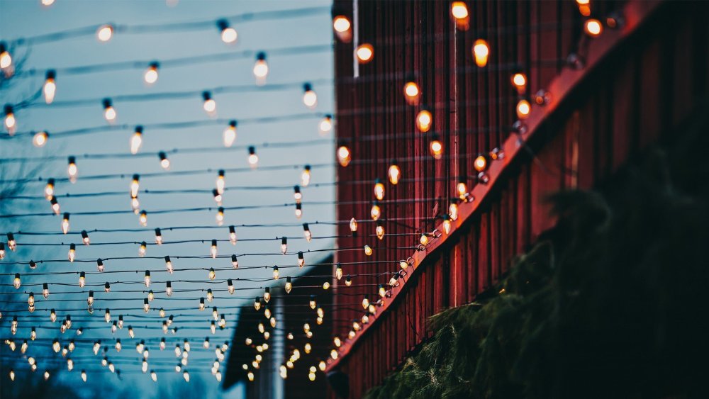 Модные обои