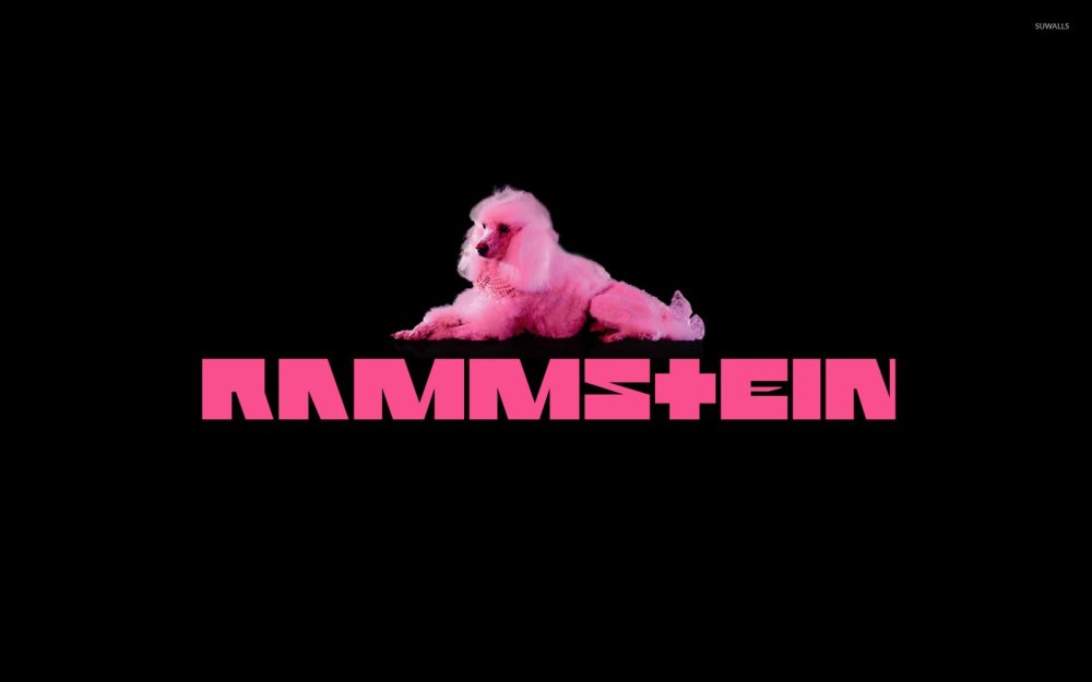 Rammstein Tour Date 2013