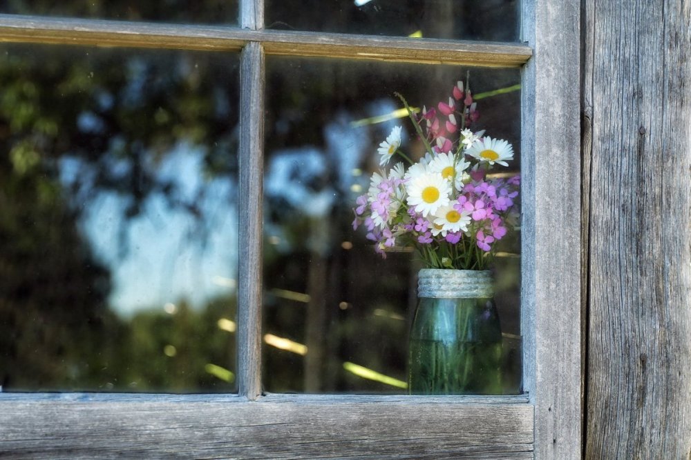 Летние цветы на окне