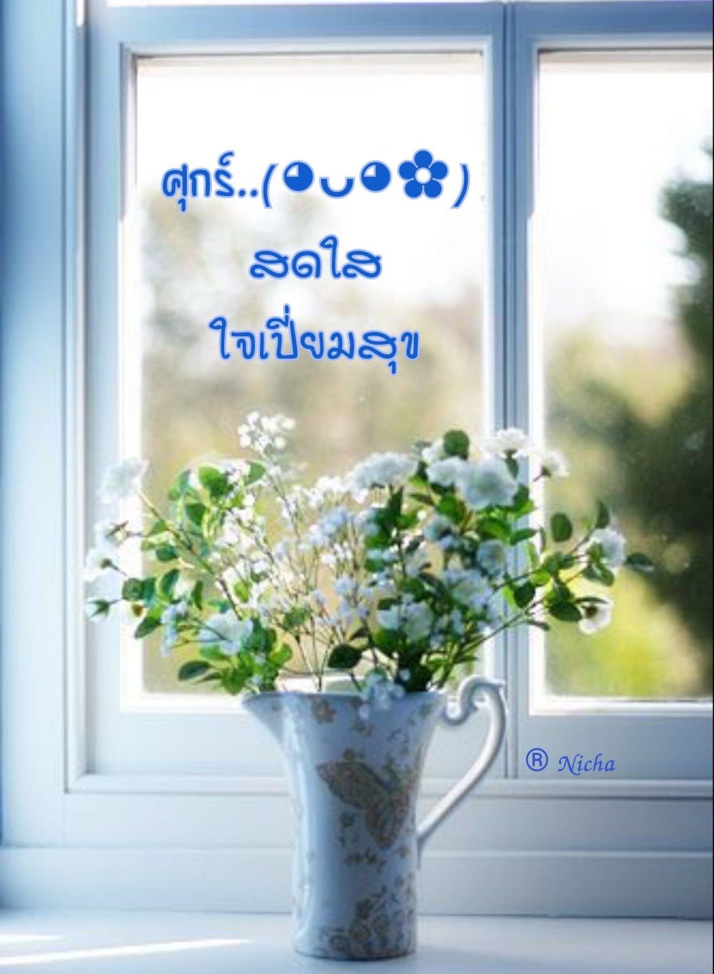 Белые цветы на окне