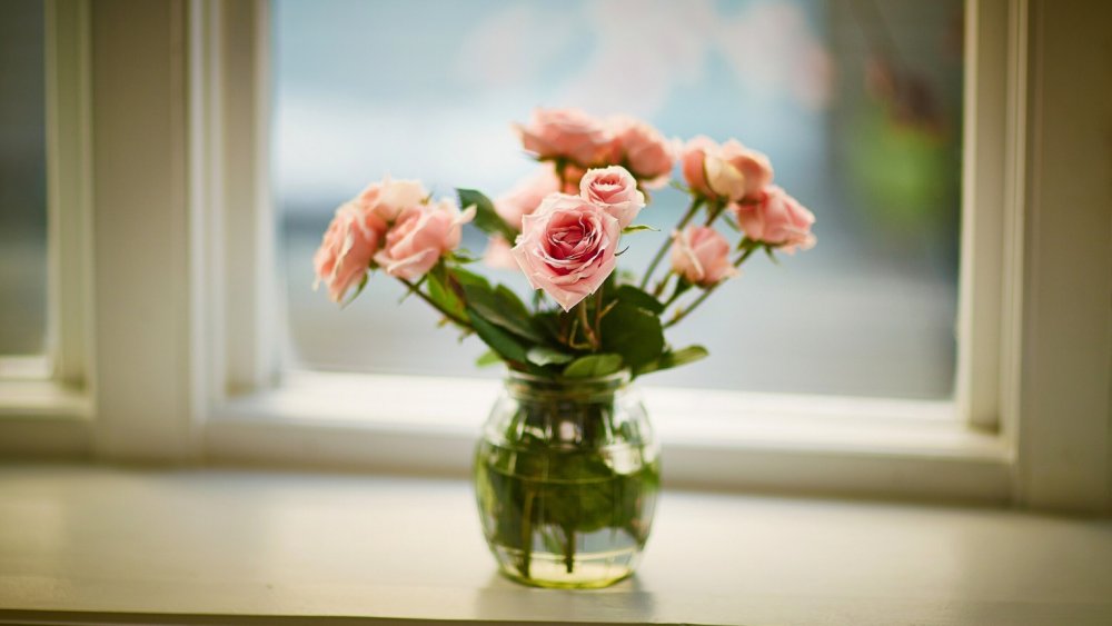 Цветы в вазе на подоконнике