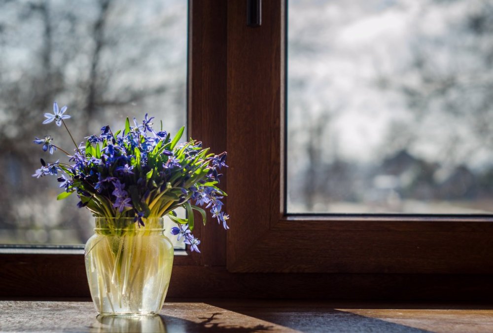 Весеннее окно