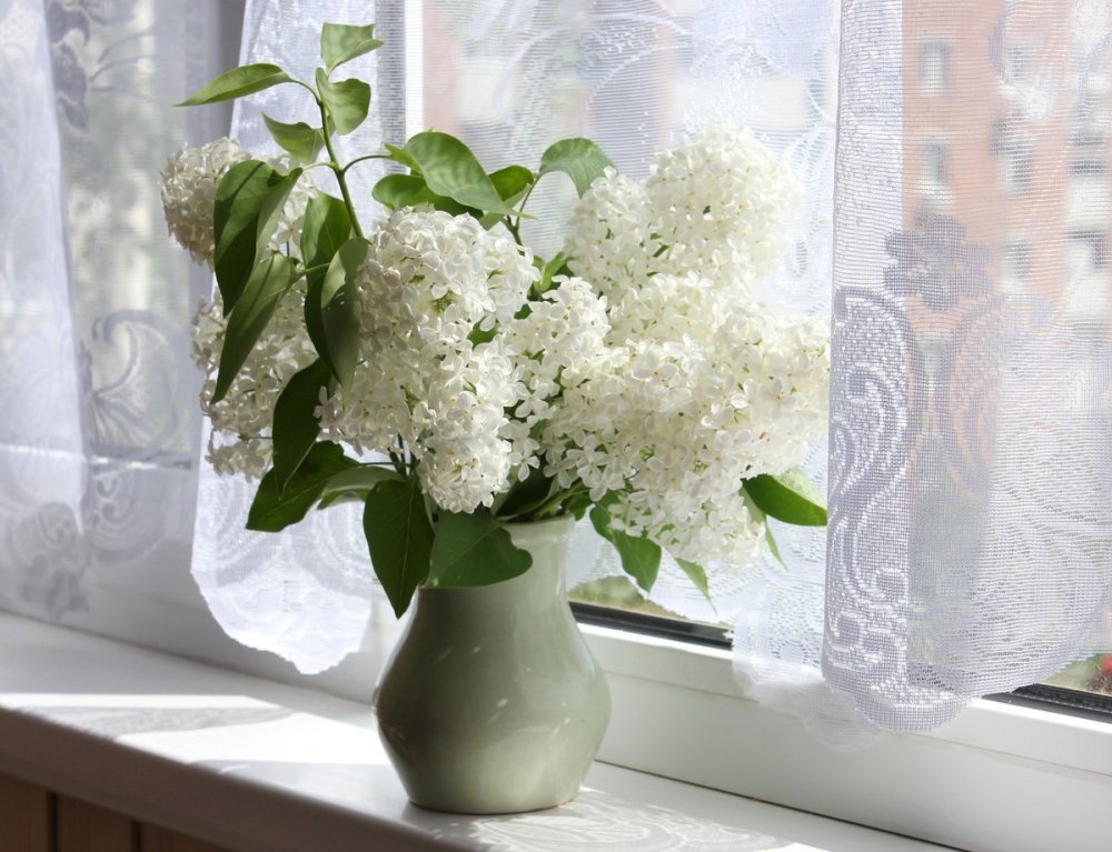 Мане белая сирень стеклянной вазе