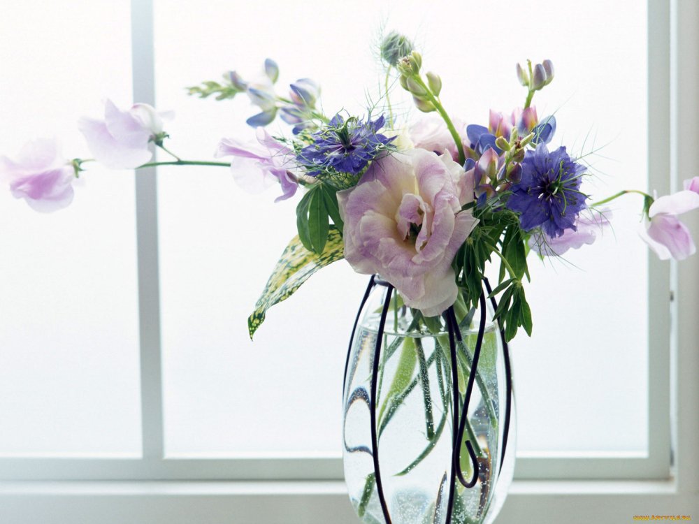 Цветы в вазе на окне
