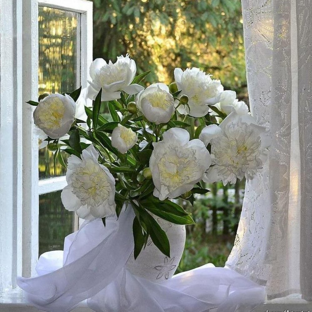 Окно с подоконником