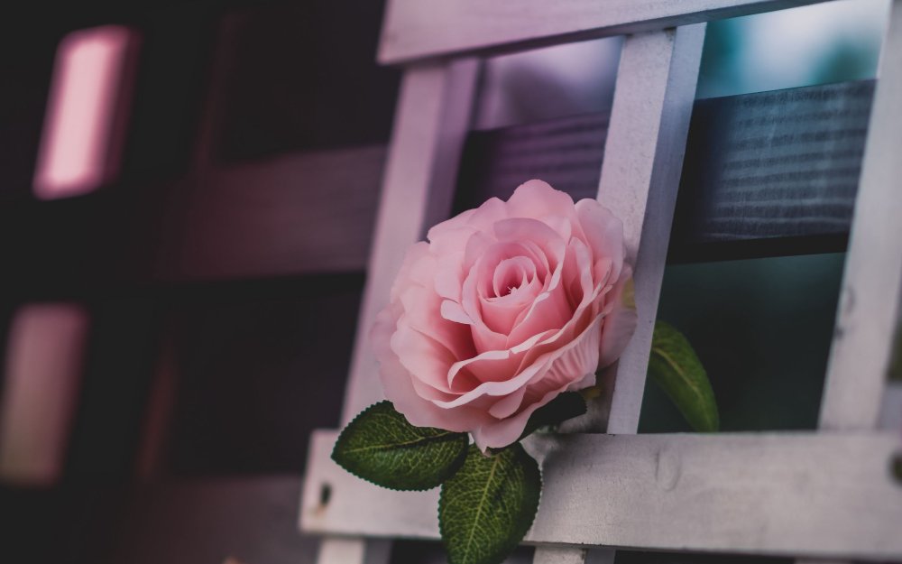 Фотохудожник-флорист Мария-Елизавета