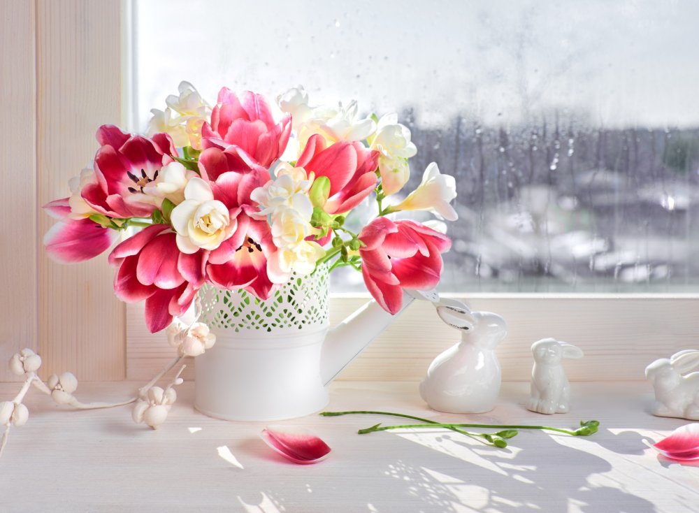 Пионы на подоконнике