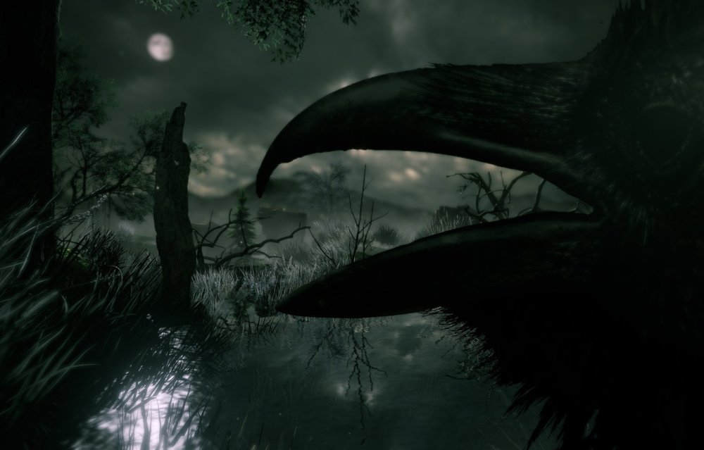 Черная птица на сером фоне