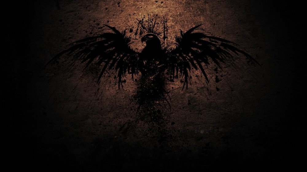 Вороны ночью