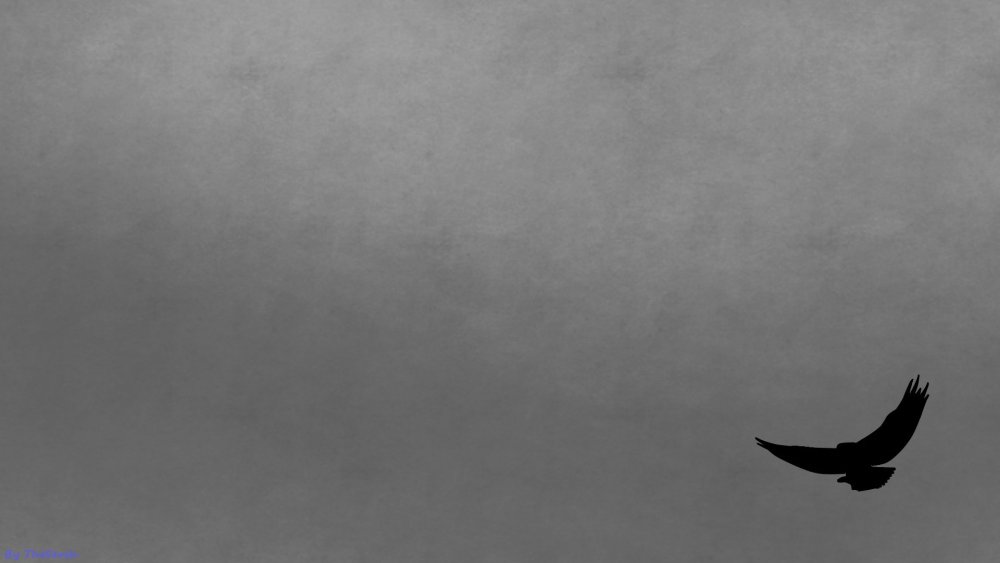 Ворон сидит на черепе