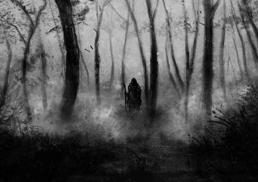 Ночь ворона