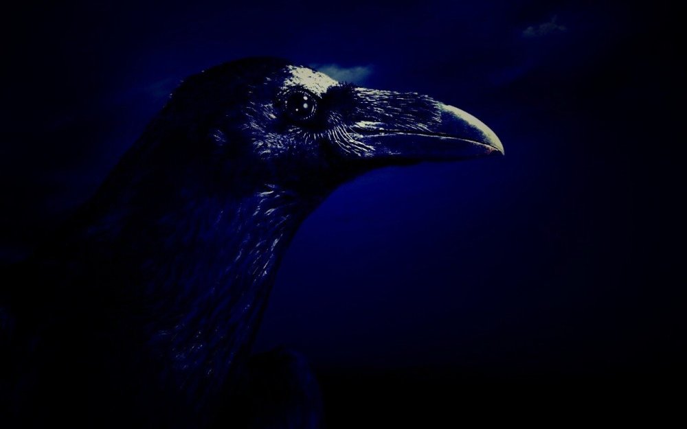 Многоглазый ворон