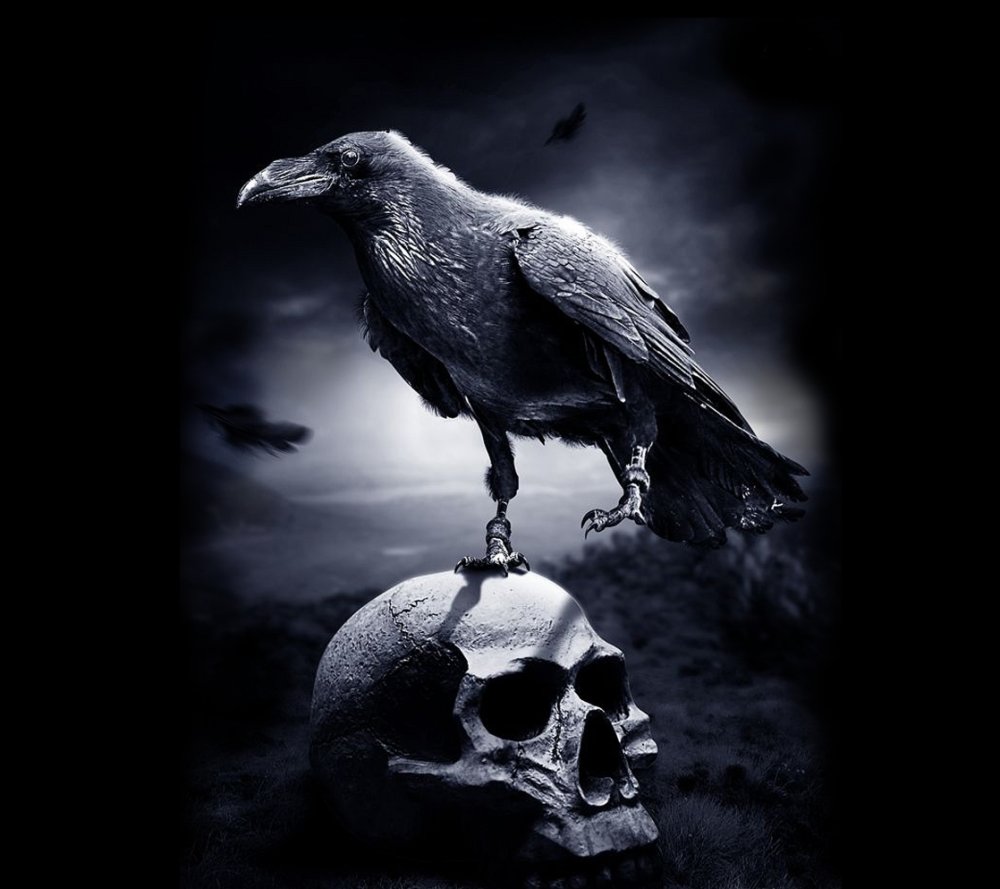 Ворон улетает