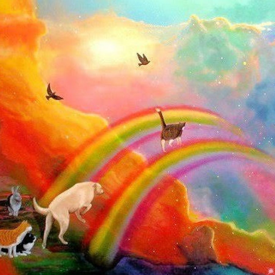 Фон в кошачьем стиле