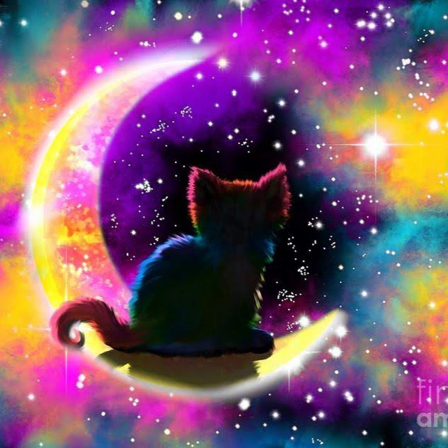 Нян Кэт обои