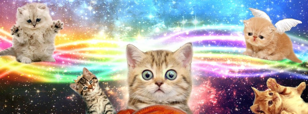 Котенок Радуга