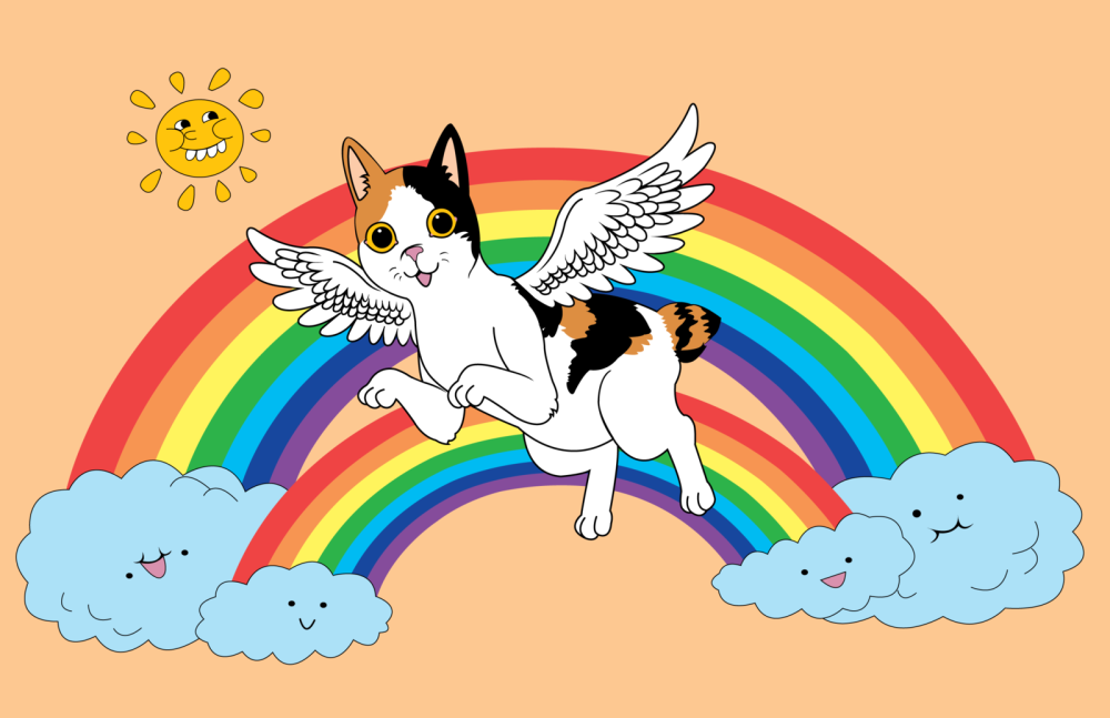 Кошка на радуге