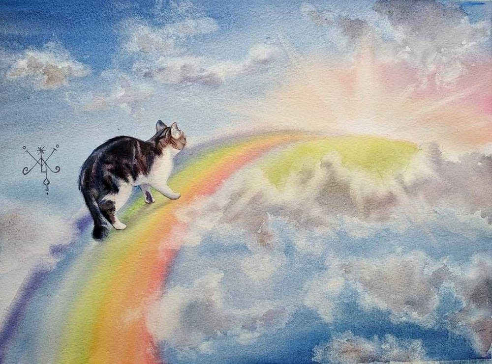 Ушел на радугу