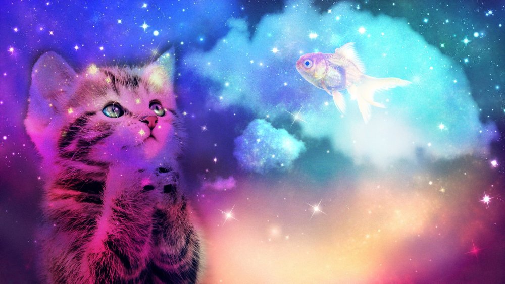 Радужный мост Джим Уоррен