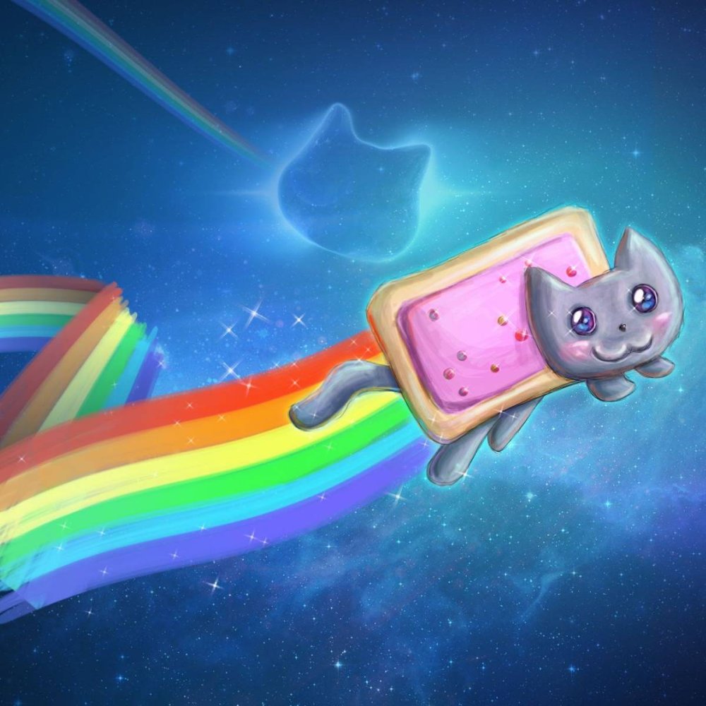 Котенок Радуга