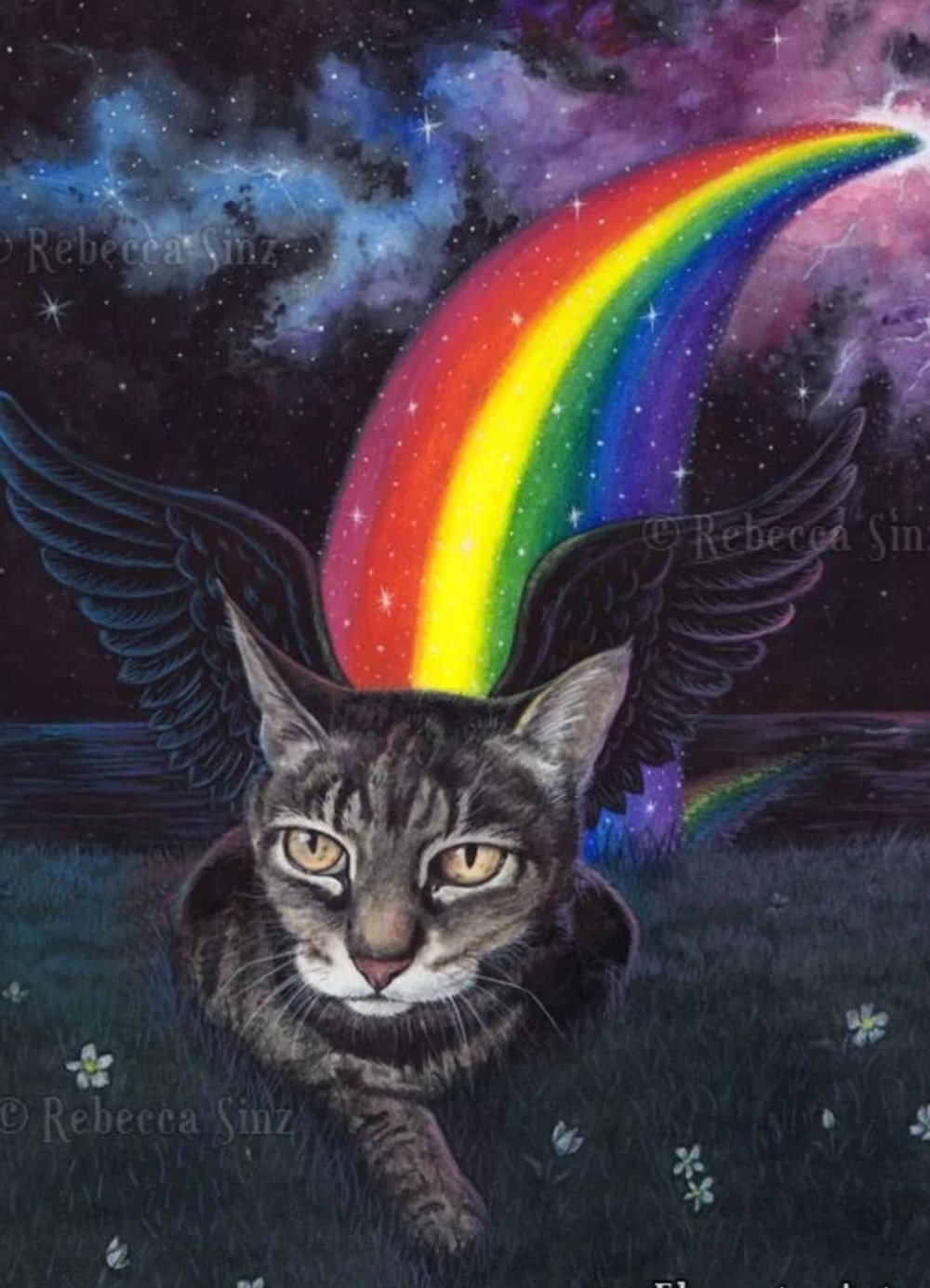 Коты на радуге